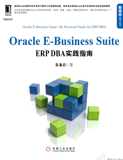 《ORACLE E-Business Suite:ERP DBA实践指南》